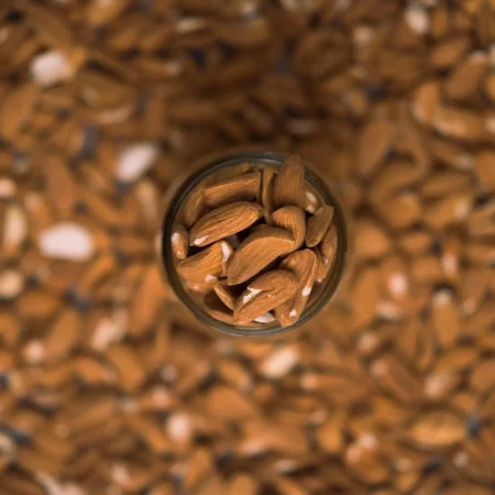 Mamra ALMOND 2 1 scaled