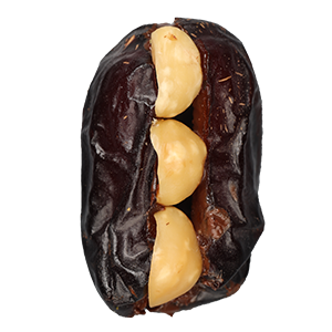 chocolate hazelnut