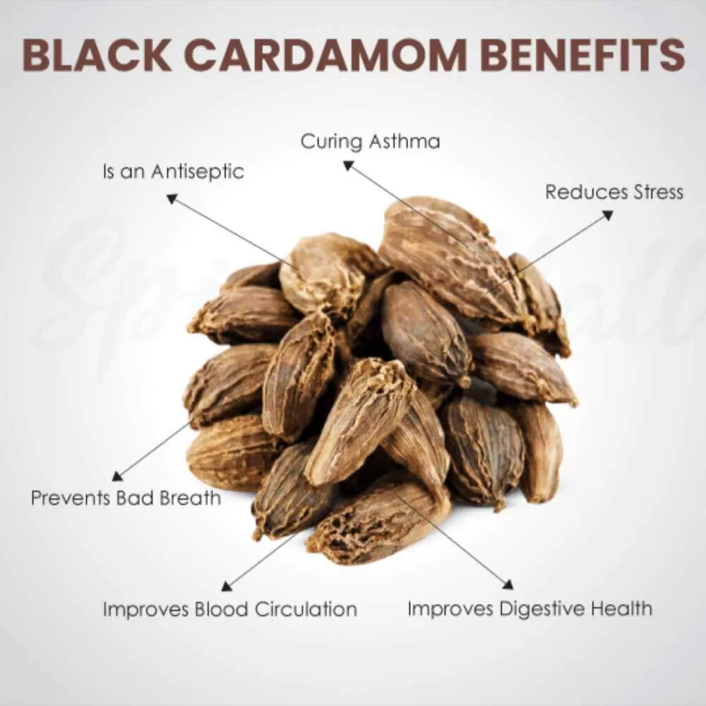 Black Cardamom (Elaichi) - Image 3