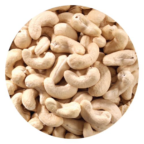 Cashew Regular