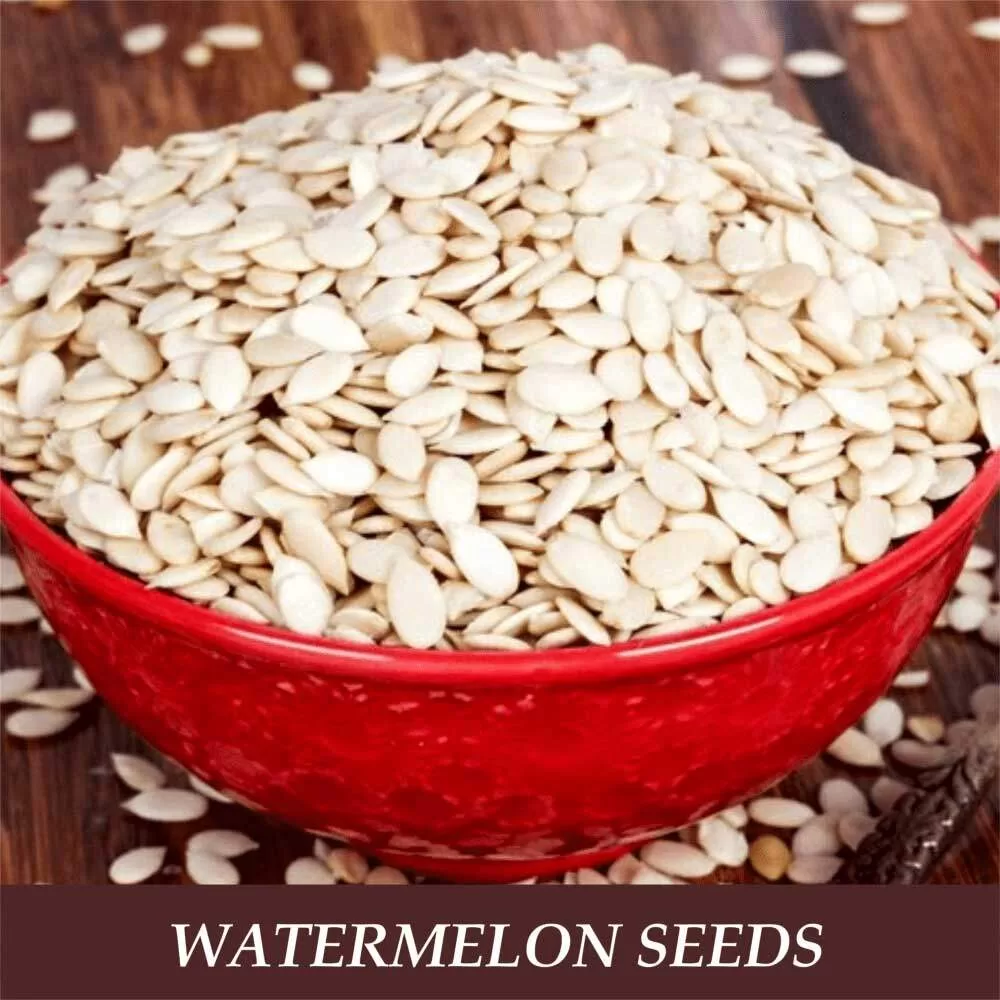 Watermelon Seeds - Image 3