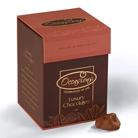 Smoothie Cashew Chocolate